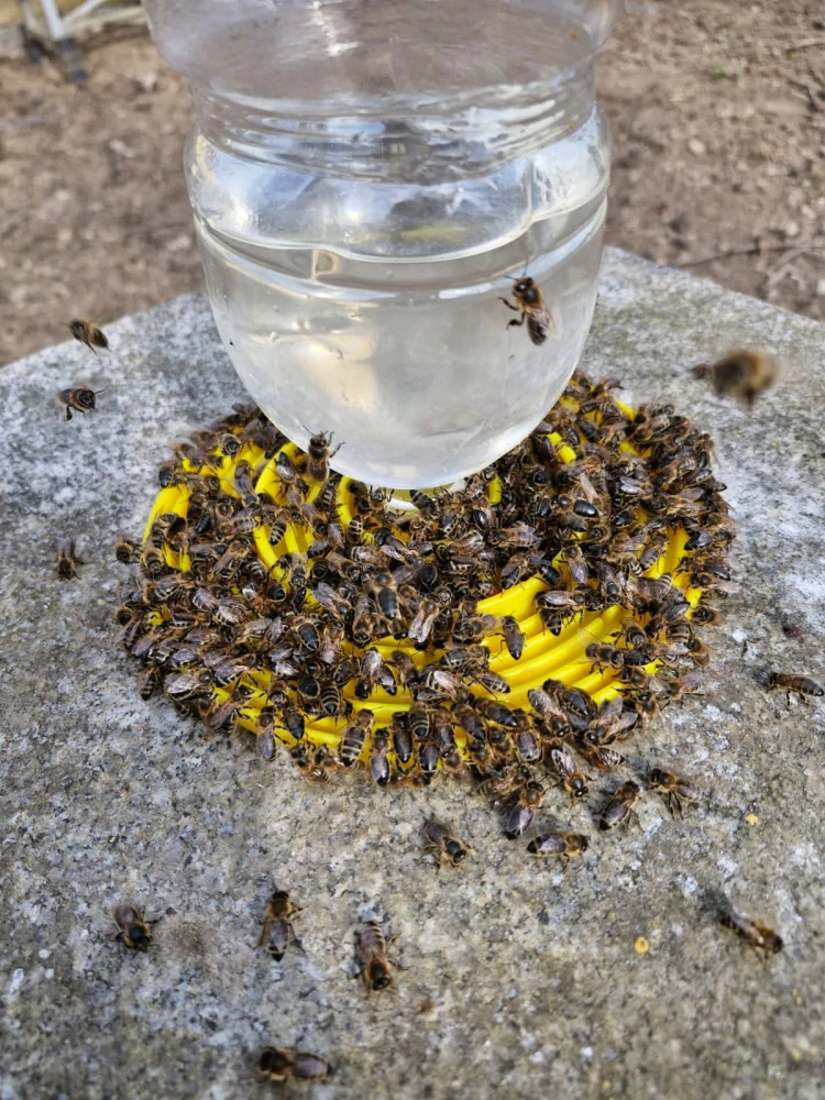 Napáječka pro včely